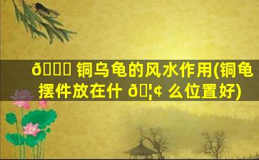 🐞 铜乌龟的风水作用(铜龟摆件放在什 🦢 么位置好)